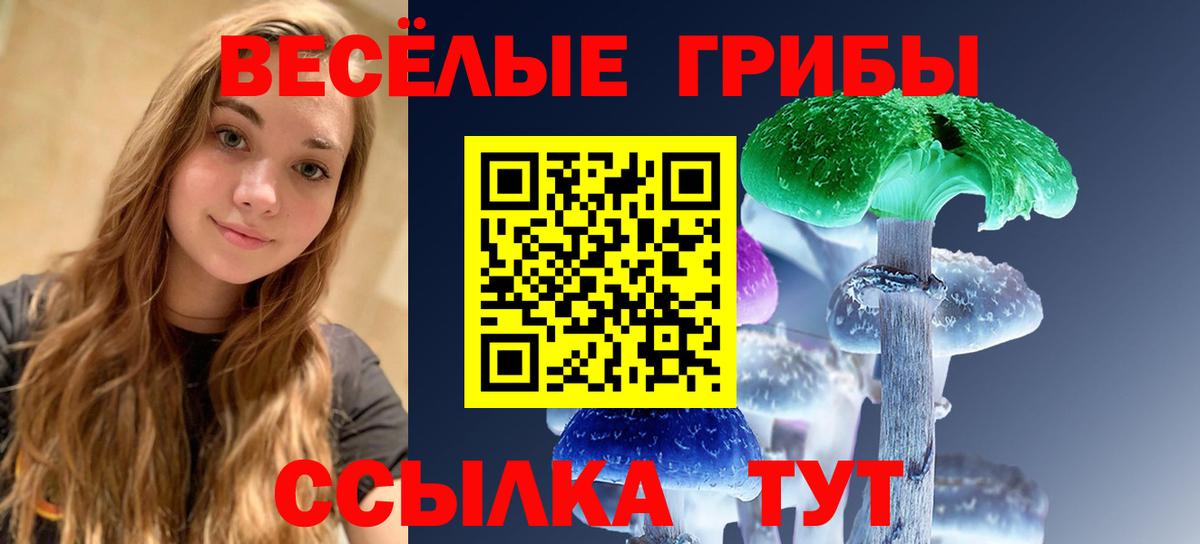 где продают наркотики  Галлюциногенные грибы ЛСД  Вход с VPN  Галлюциногенные грибы мицелий  Асбест 